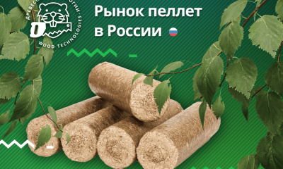 Рынок пеллет в России